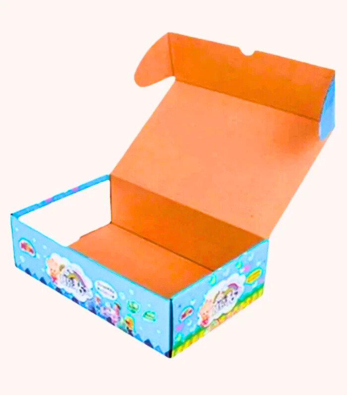 Printed Packaging Box